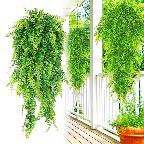 Dekoracyjna roślina wisząca - Fernleaves