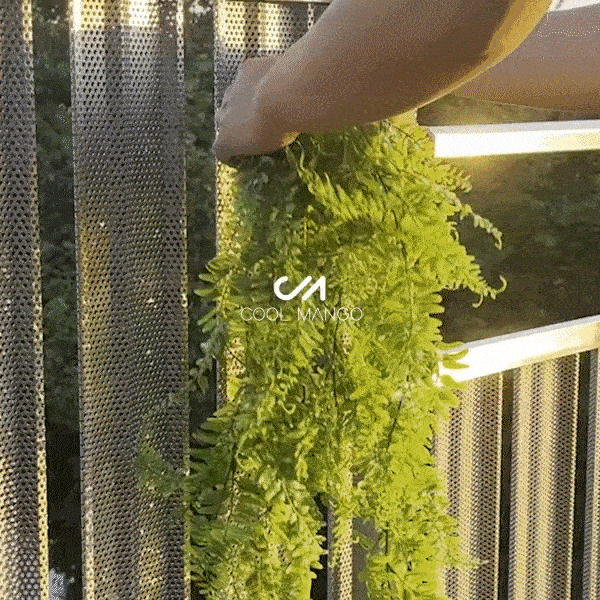 Dekoracyjna roślina wisząca - Fernleaves