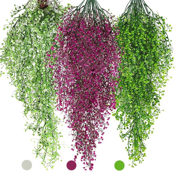 Dekoracyjne wiszące rośliny - Ivyplant