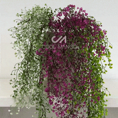 Dekoracyjne wiszące rośliny - Ivyplant